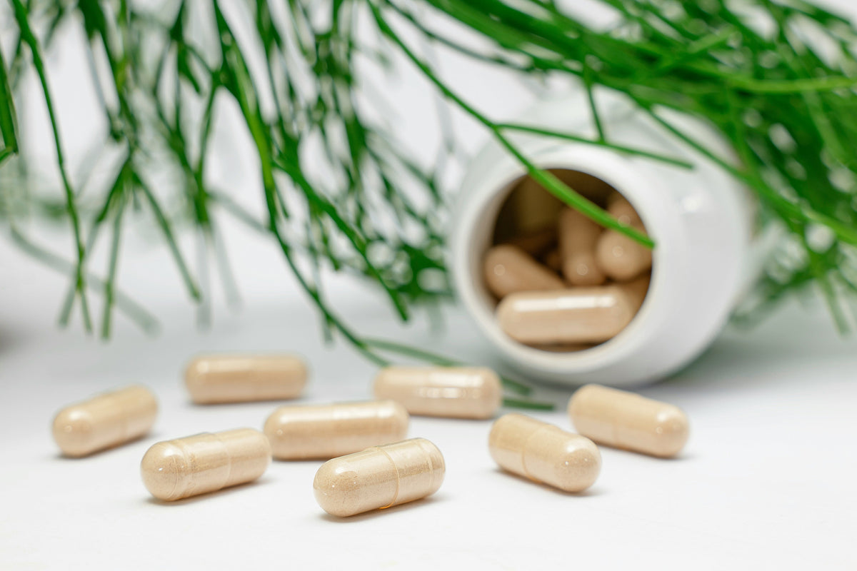 NMN, TMG and Resveratrol: How These Three Fit Together